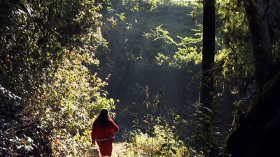 Trailer 'Señorita María, la falda de la montaña'
